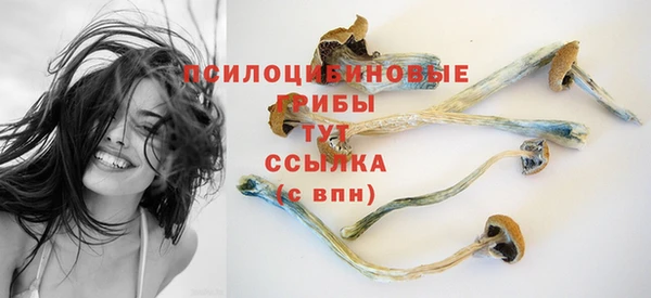 мдпв Сафоново