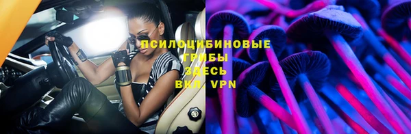 эйфоретик Гусиноозёрск