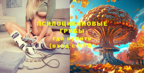 гашишное масло Гусь-Хрустальный