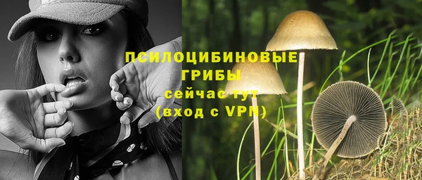 эйфоретик Гусиноозёрск